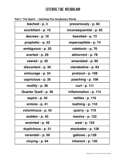 Catching Fire Vocabulary
