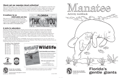 Check out our manatee decal collection!