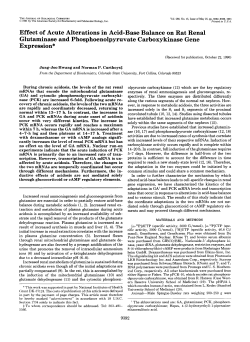 Effect of Acute Alterations in Acid