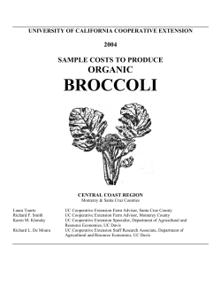 broccoli - Cost Studies