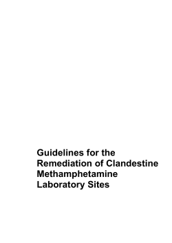 Guidelines for the Remediation of Clandestine
