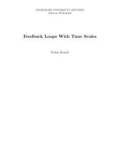 Feedback Loops With Time Scales - PuSH