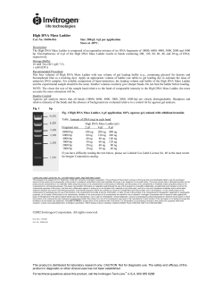 High DNA Mass Ladder