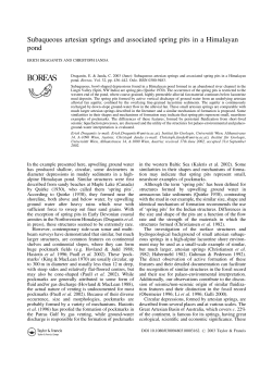 Subaqueous artesian springs and associated spring pits