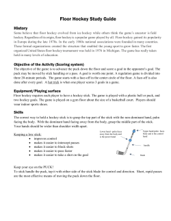 Hockey Study Guide