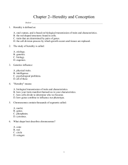 cdev-1st-edition-rathus-test-bank