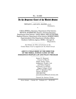 Amicus Brief - Turtle Talk