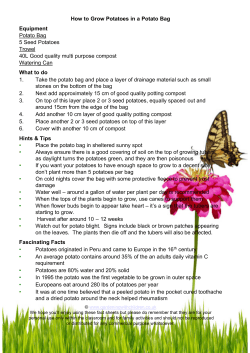 Potatoes in a bag - Gardening With Children