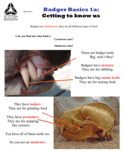 Badger Basics 1a: Getting to know us