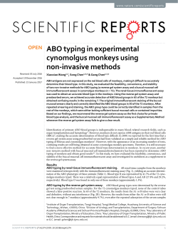 ABO typing in experimental cynomolgus monkeys using