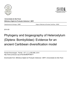 Phylogeny and biogeography of Heterostylum (Diptera