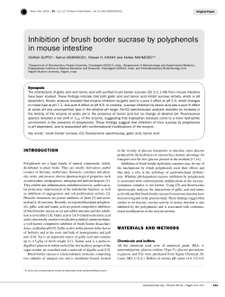 Inhibition of brush border sucrase by polyphenols in mouse intestine