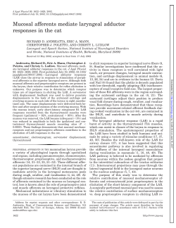 Mucosal afferents mediate laryngeal adductor responses in the cat