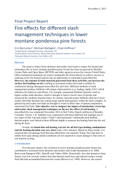 Fire effects for different slash management