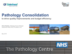 Pathology Consolidation