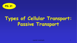 Passive Transport