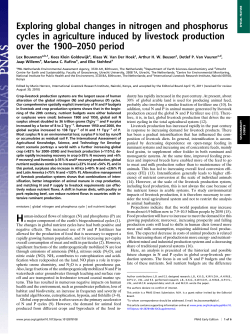 Exploring global changes in nitrogen and phosphorus cycles