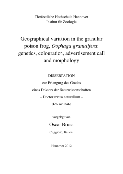 Geographical variation in the granular poison frog, Oophaga