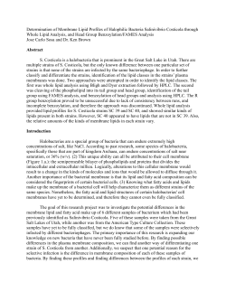 Determination of Membrane Lipid Profiles of Halophilic Bacteria