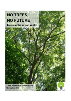 no trees, no future - Forestry Commission