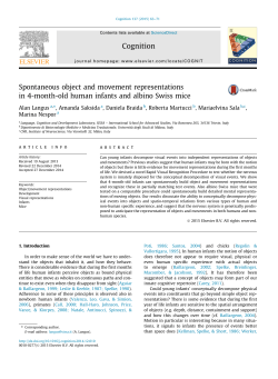 Spontaneous object and movement representations in 4-month