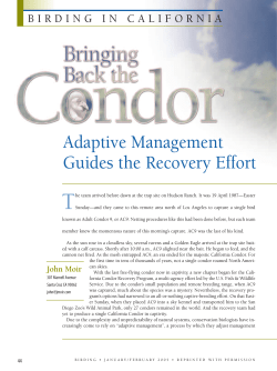 Adaptive Management Guides the Recovery Effort