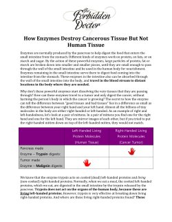 How Enzymes Destroy Cancerous Tissue But Not Human Tissue