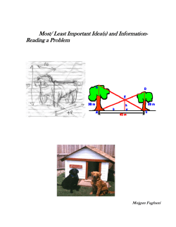Most/ Least Important Idea(s) and information