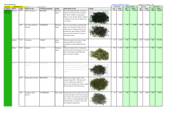 Price List for Tea Payment Method: Paypal Updated on Marach