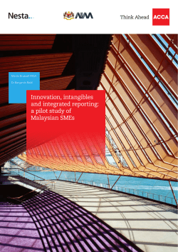 Innovation, intangibles and integrated reporting: a