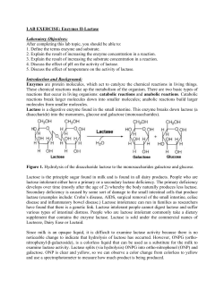 LAB EXERCISE: Enzymes II-Lactase Laboratory Objectives: After
