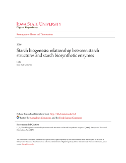 Starch biogenesis: relationship between starch