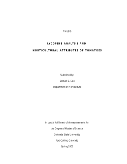 lycopene analysis and horticultural attributes of tomatoes