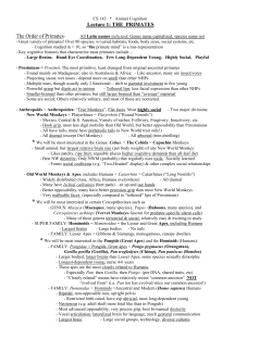 Lec 1: The Primates - Division of Social Sciences