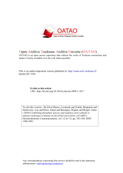 PDF (Author`s version)