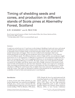 Timing of shedding seeds and cones, and