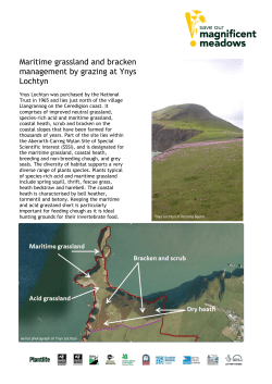 Maritime grassland and bracken management by grazing at Ynys