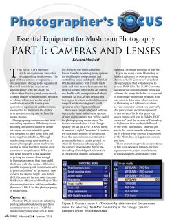 Photographer`s FOCUS Essential Equipment for Mushroom
