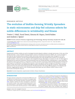The evolution of biofilm-forming Wrinkly