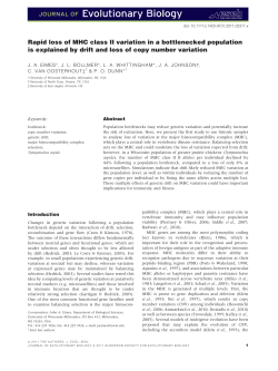 Rapid loss of MHC class II variation in a bottlenecked population is