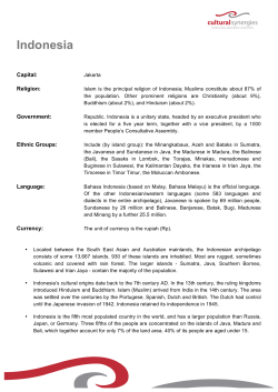 Indonesia - Cultural Synergies