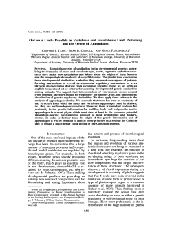 Out on a Limb: Parallels in Vertebrate and Invertebrate Limb