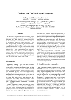 Fast Panoramic Face Mosaicing and Recognition