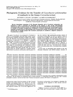 Phylogenetic Evidence for the Transfer of Caseobacter polymorphus