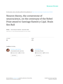 Neuron theory, the cornerstone of neuroscience, on the