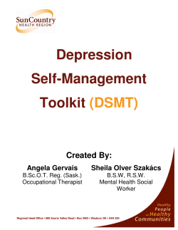 Depression Self-Management Toolkit (DSMT)