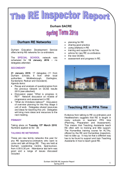 The RE Inspector Report