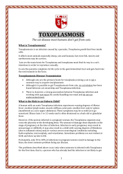 Article on Toxoplasmosis