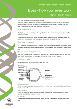 how your eyes work