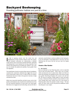 Backyard Beekeeping